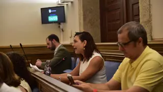 Unidas Podemos Plasencia reclama una declaración institucional contra el "genocidio" en Gaza