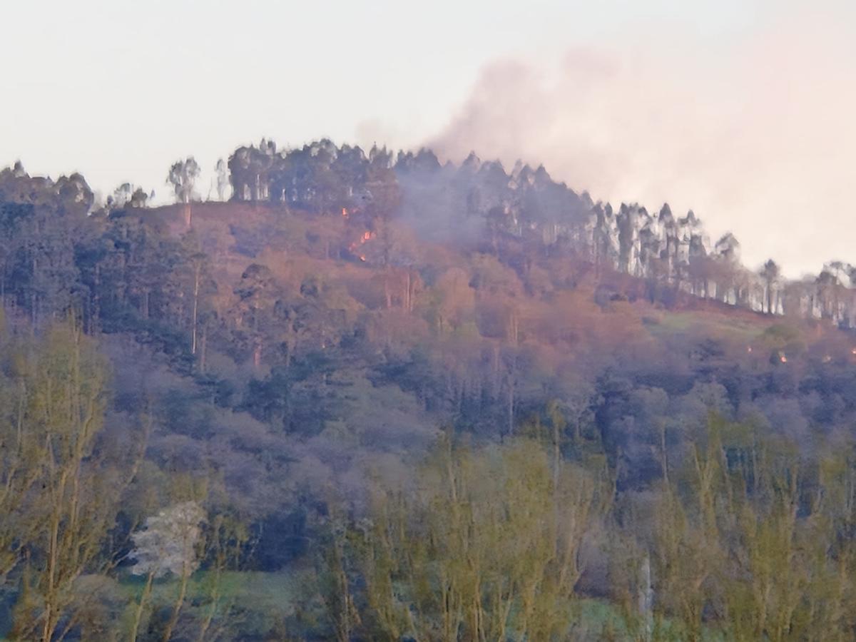 El incendio registrado en La Mata.
