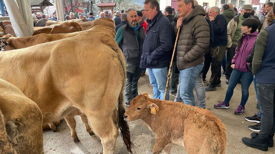 La feria ganadera de Tuña desborda las previsiones: &quot;Nunca vimos tanta gente&quot;