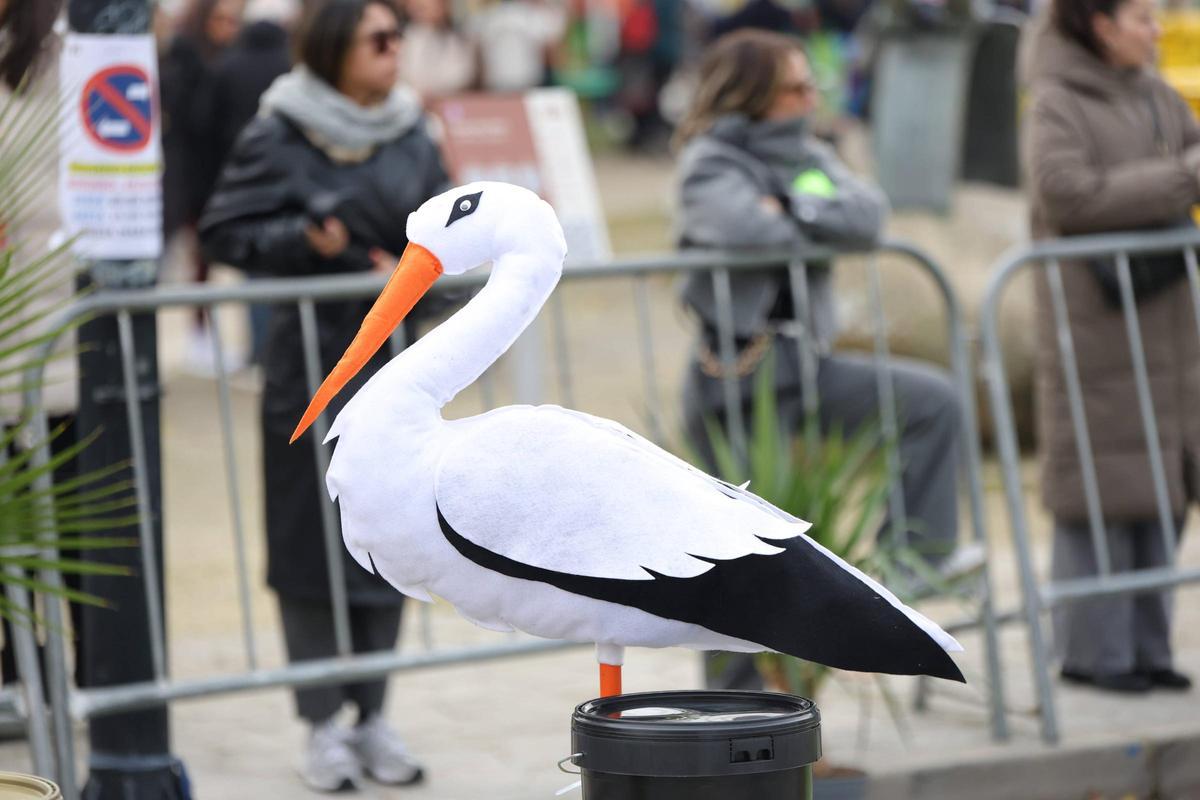 Fotogalería | Búscate en las imágenes de la media maratón de Malpartida de Cáceres