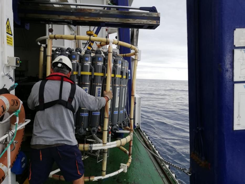 Doce científicos estudian los montes submarinos de Ibiza y Formentera