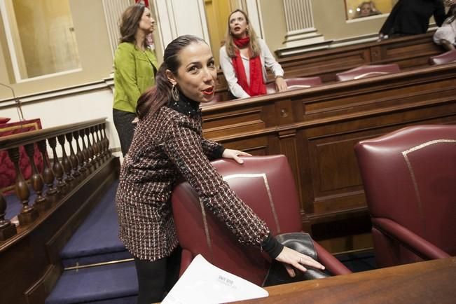 19/01/2017.CANARIAS.Pleno del Parlamento de Canarias..Fotos: Carsten W. Lauritsen