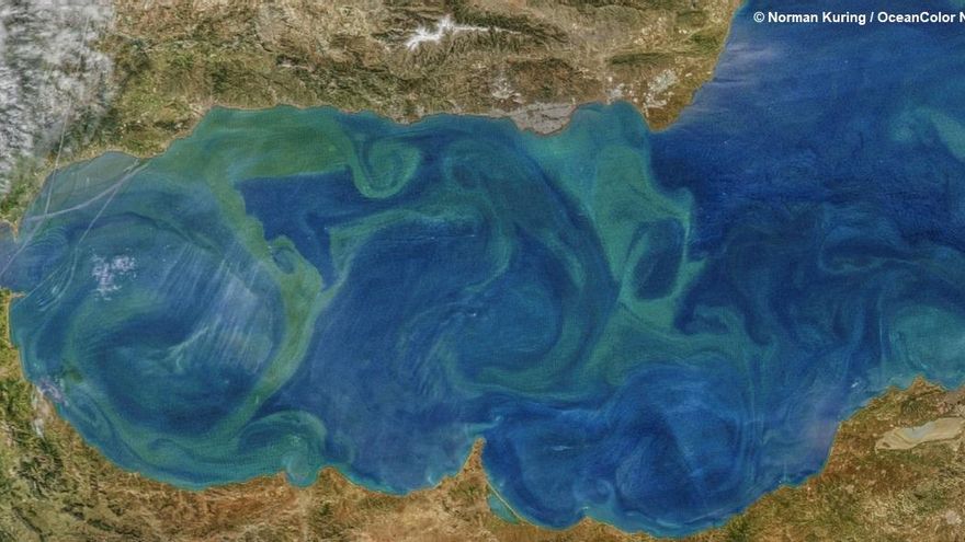 Preocupación por el futuro del mar de Alborán