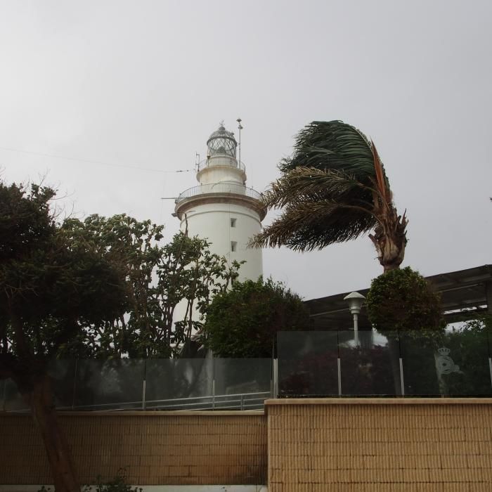 Temporal de viento y lluvia en Málaga