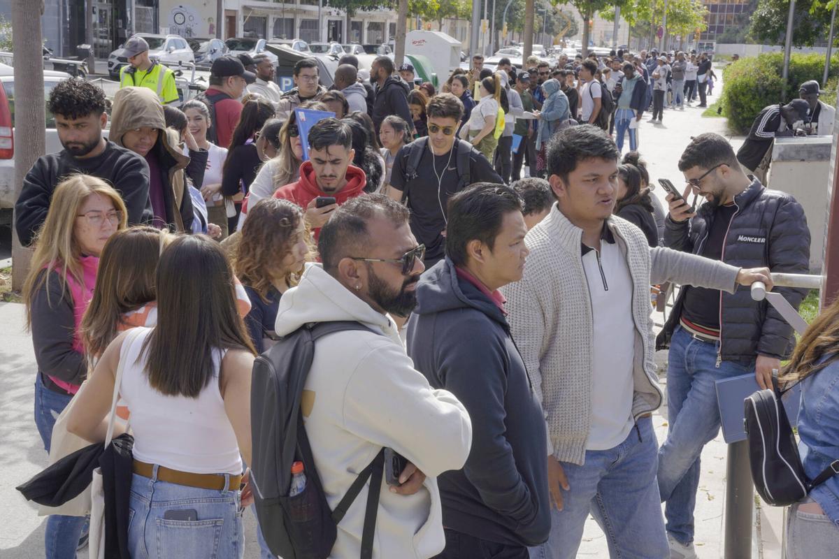 Largas colas en Palma para obtener el informe de vulnerabilidad Largas colas en Palma para obtener el informe de vulnerabilidad