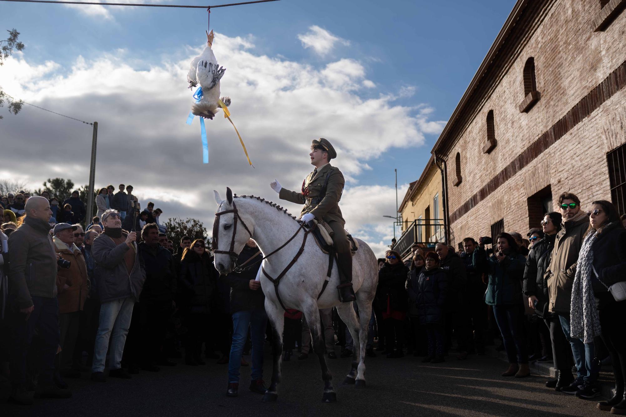 GALERÍA | La Carrera del Gallo de Guarrate, en imágenes