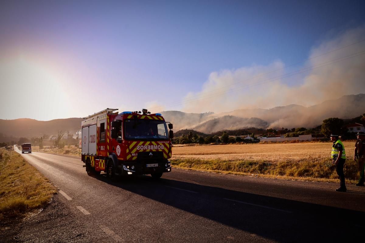 Incendio forestal junto al Castillo de la Albaida