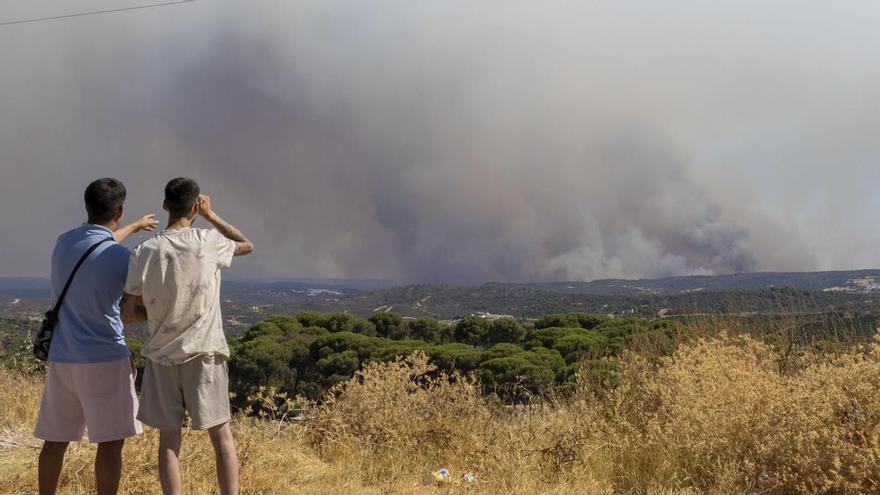 20.000 hectáreas, 7 carreteras cortadas y 800 desalojados: la amenaza del incendio "fuera de control" de Niebla se extiende por Sevilla y Huelva
