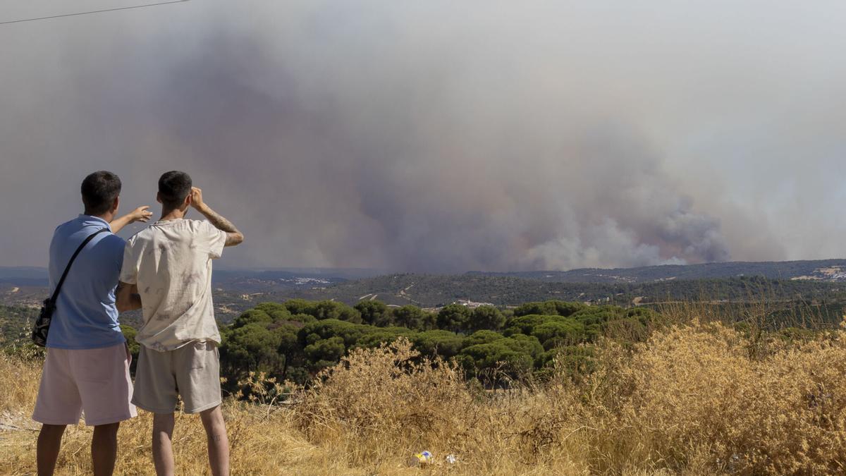 ÚLTIMA HORA INCENDIOS | 20.000 hectáreas, 7 carreteras cortadas y 800 desalojados: la amenaza del incendio «fuera de control» de Niebla se extiende por Sevilla y Huelva