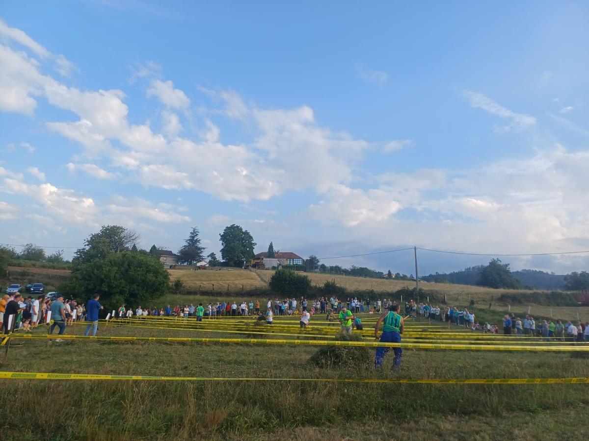 El concurso de siega de Santa Marina, en imágenes