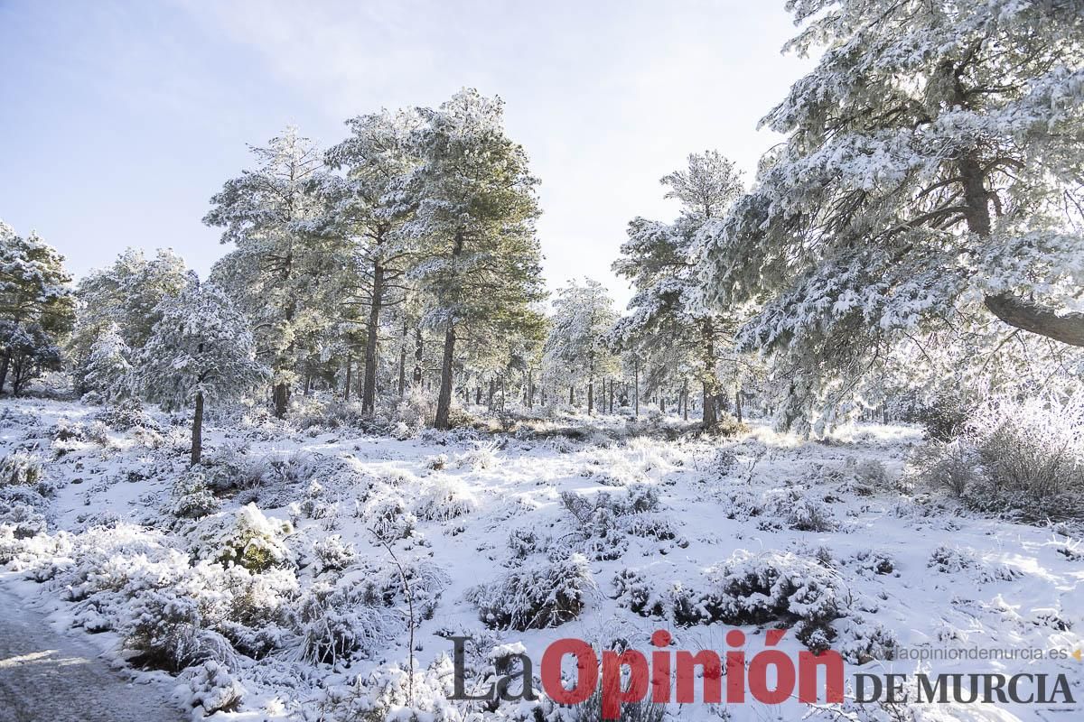 Descubre dónde queda acumulación de nieve en la Región de Murcia