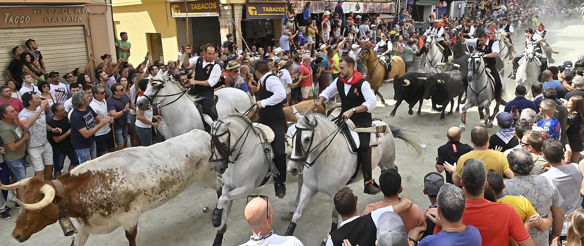 Todas las fotos de la cuarta Entrada de Toros y Caballos de Segorbe