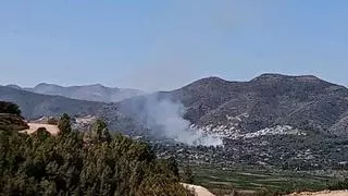 Tres medios aéreos y varias dotaciones de bomberos luchan contra un incendio en Xaló