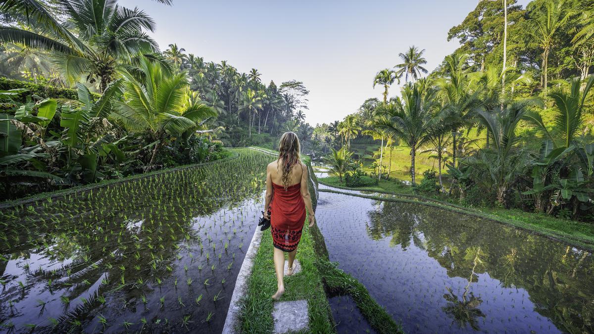Crónica desde Bali: así es vivir en el paraíso