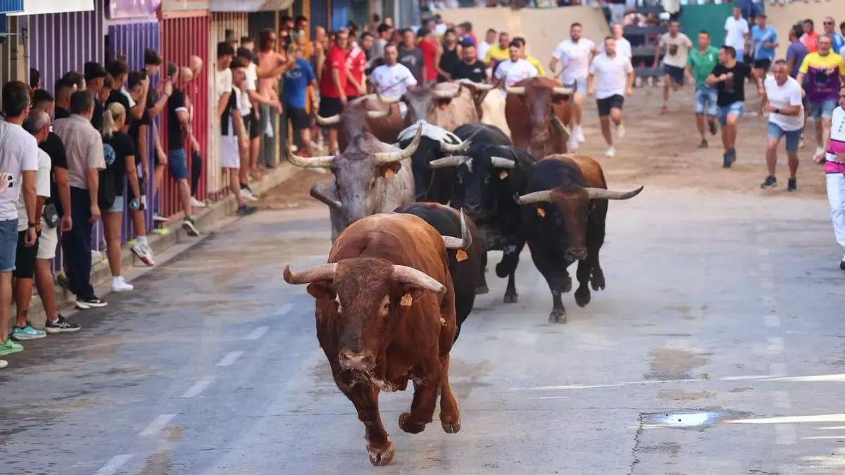 Vila-real vuelve a correr delante de los toros 16 meses después con un encierro 'de campanillas'