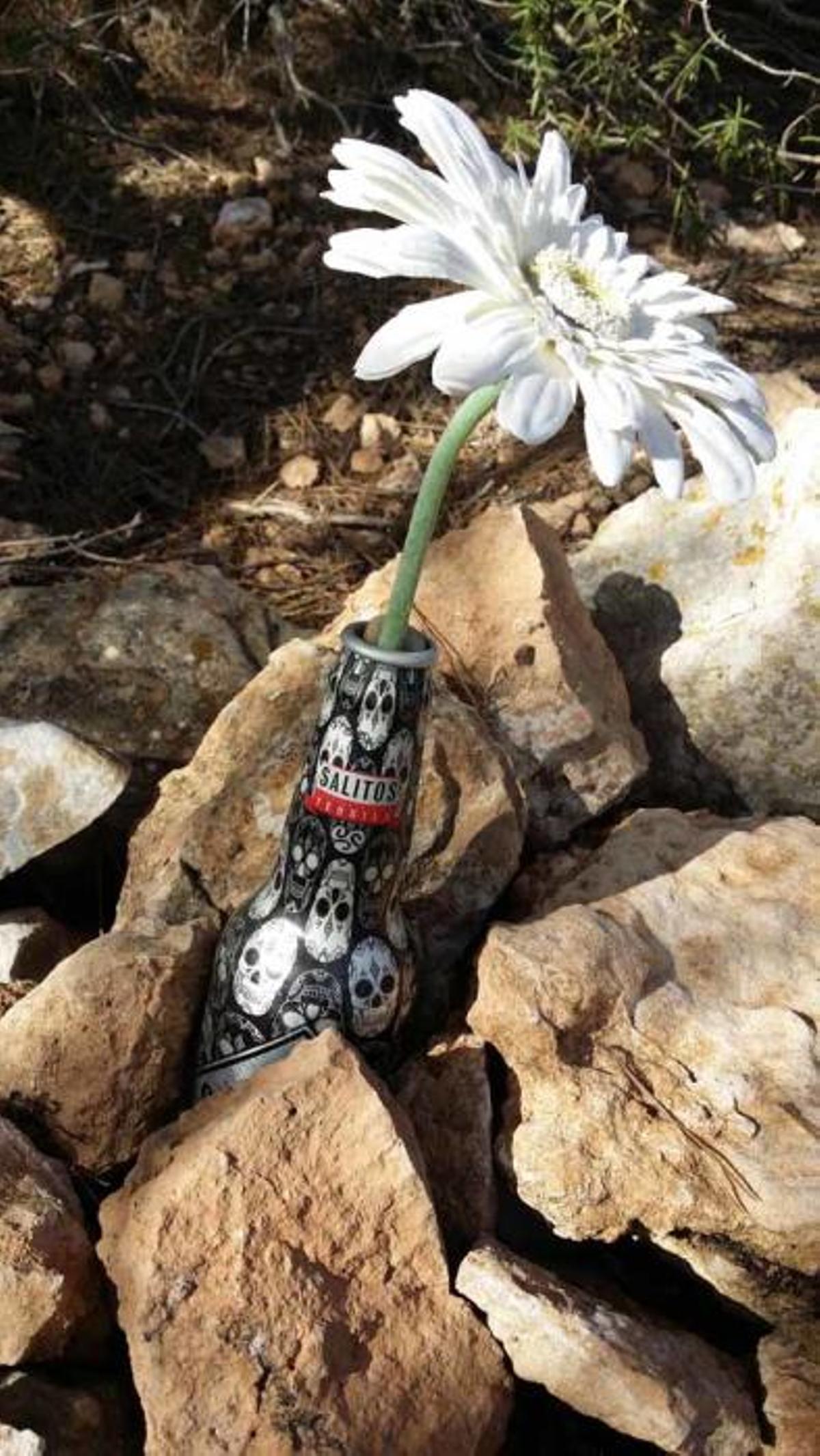 Cementerio de mascotas