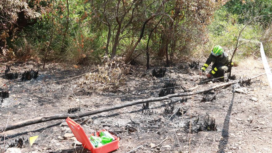 Els Agents Rurals delimiten un espai en una àrea boscosa afectada per un incendi per esclarir-ne les causes.
