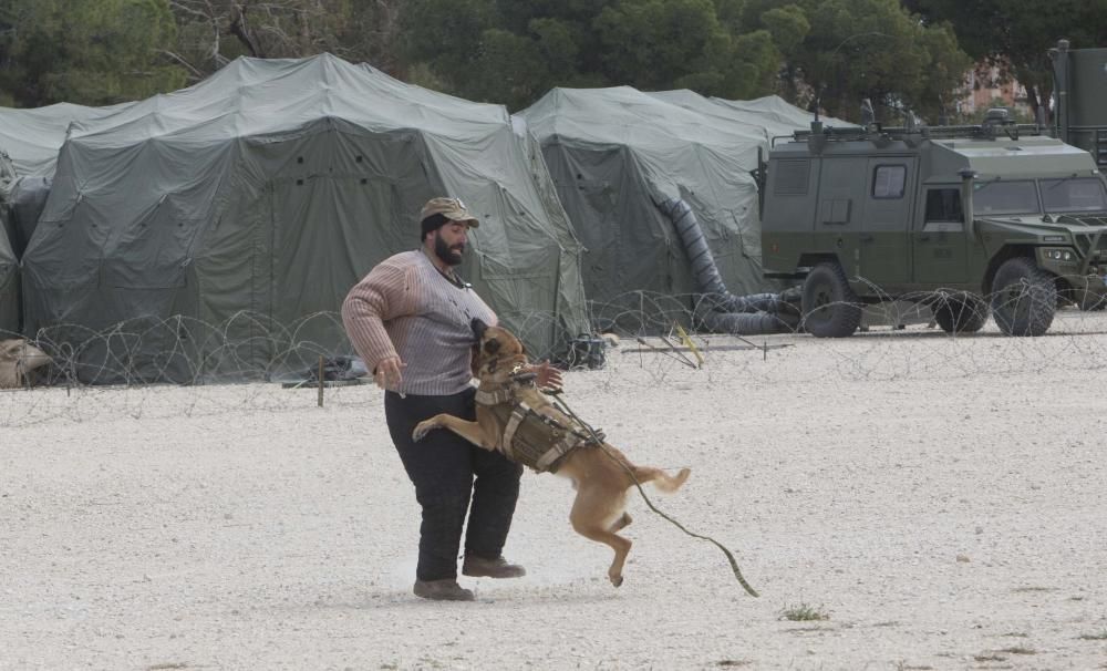 Los boinas verdes son soldados expertos en operaciones que, por su alta especialización, no pueden se desarrolladas por otras unidades, como el rescate de rehenes, reconocimientos especiales o captura