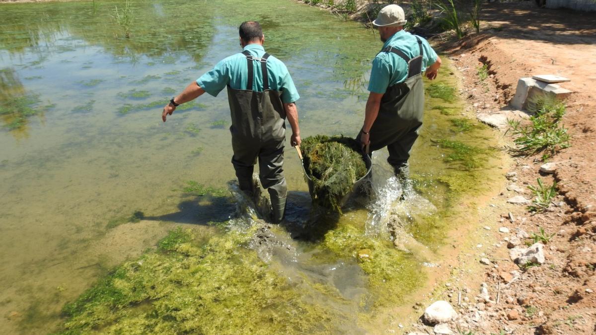 Aigües d’Elx trabaja por y para la sostenibilidad hídrica y ambiental.