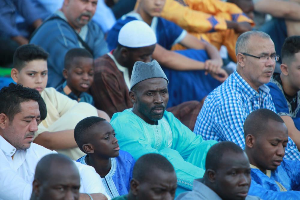 4.000 musulmanes celebran en Palma el rezo de la fiesta del cordero