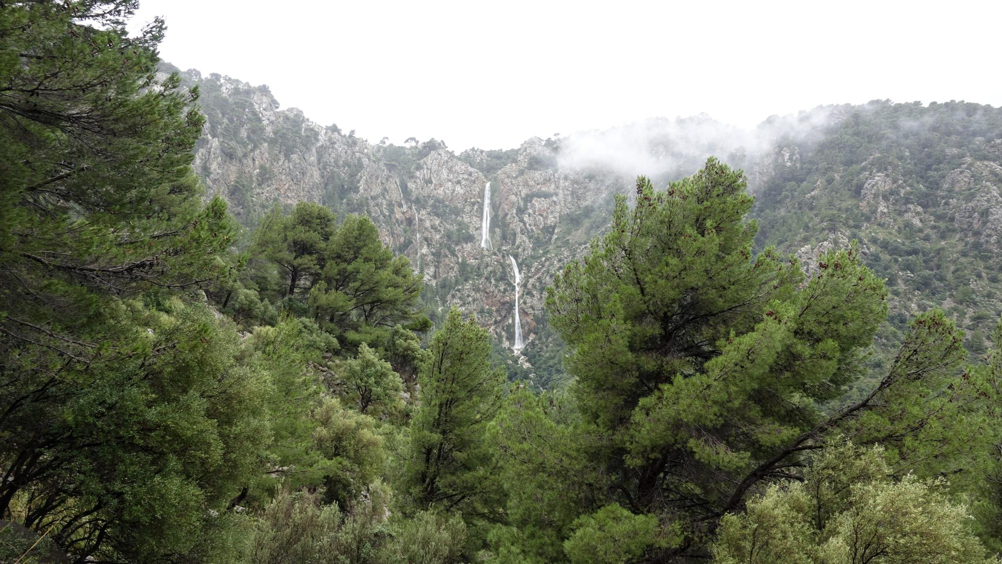 Las lluvias activan el impresionante salto de agua del Torrent des Lli