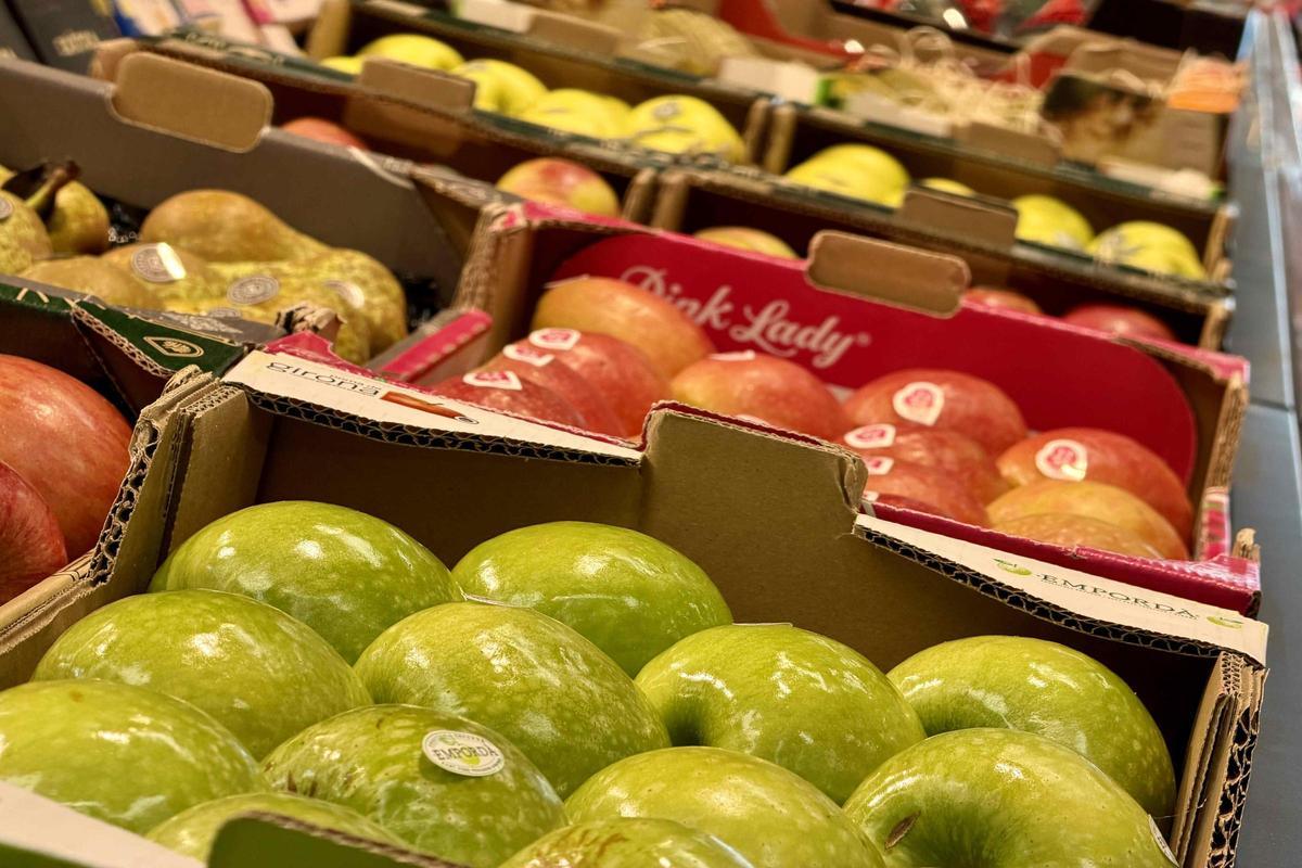 Les imatges del nou Gros Mercat a Mercabarna