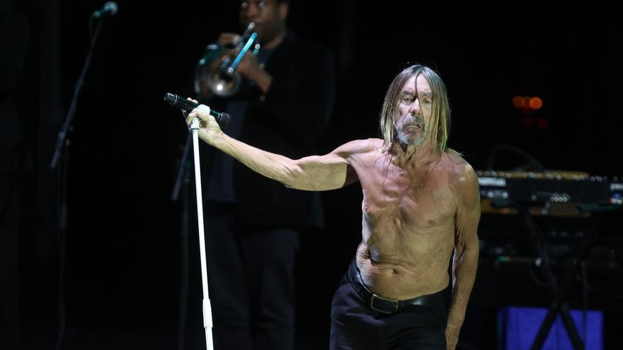 Iggy Pop en Starlite: aquelarre de rock and roll en un festival boutique