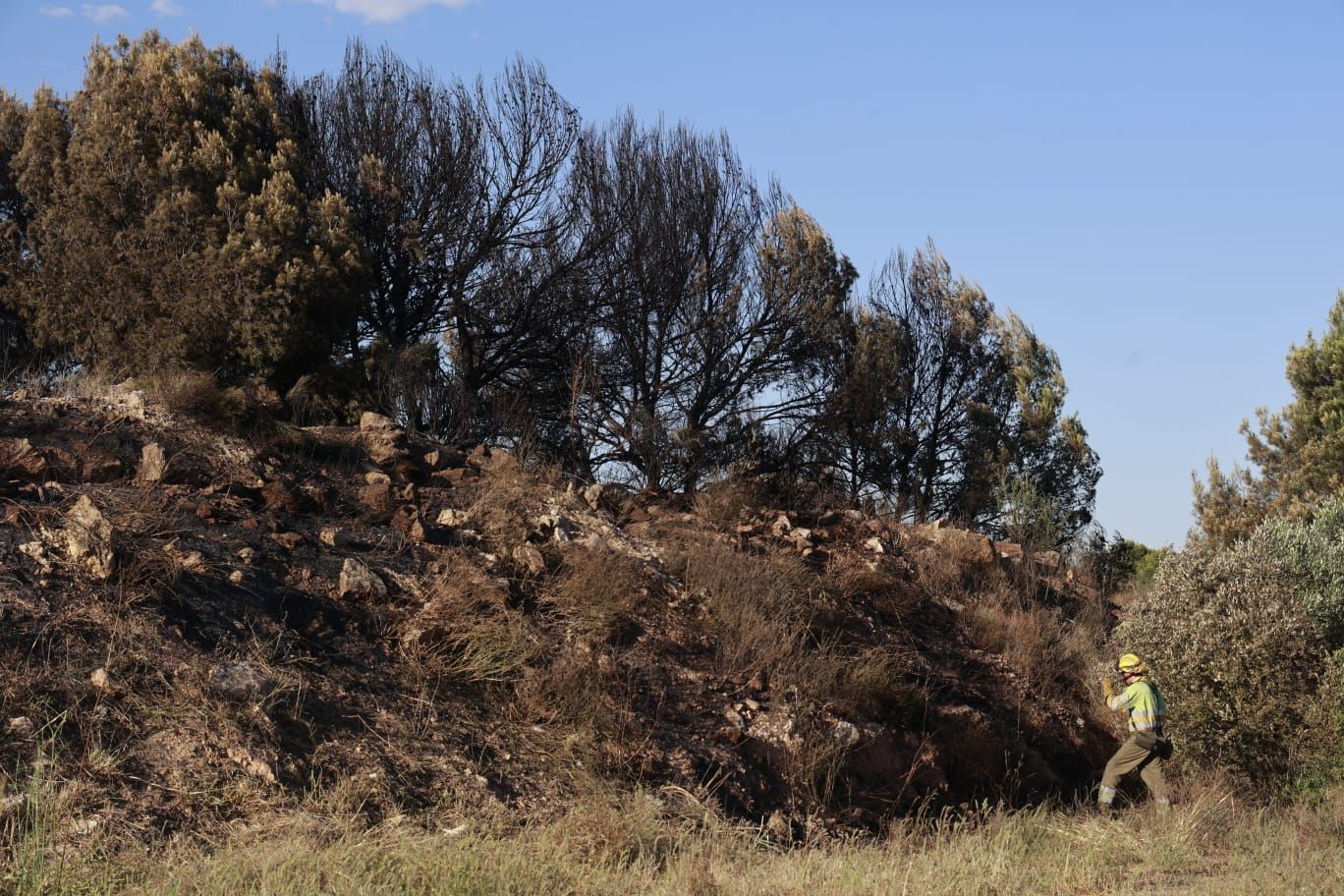 Un incendio quema media hectárea y asusta a los vecinos de una urbanización colindante