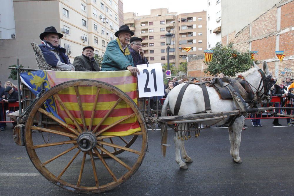 Sant Antoni en Valencia 2017