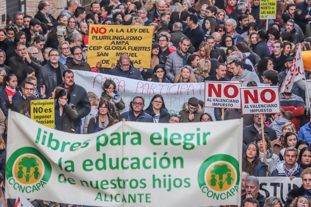 Veinte mil personas reclamaron ayer en las calles de Orihuela la derogación de la ley de Plurilingüismo