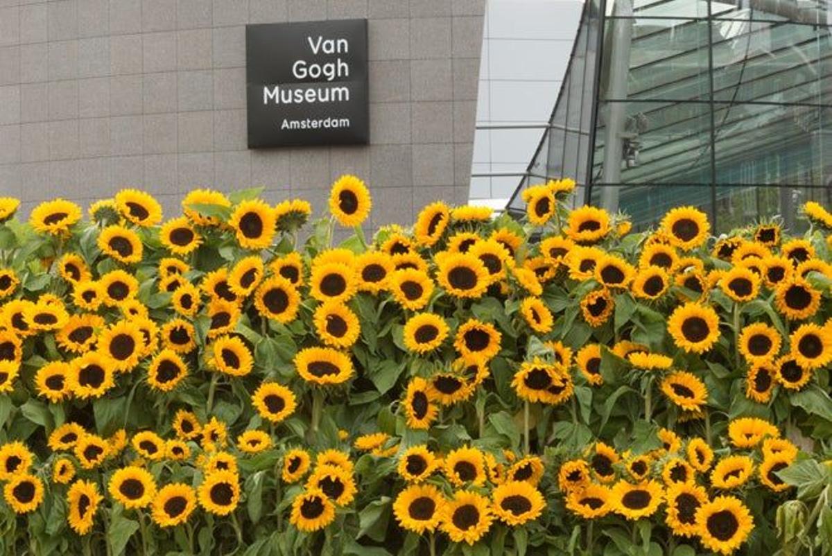 Museo Van Gogh