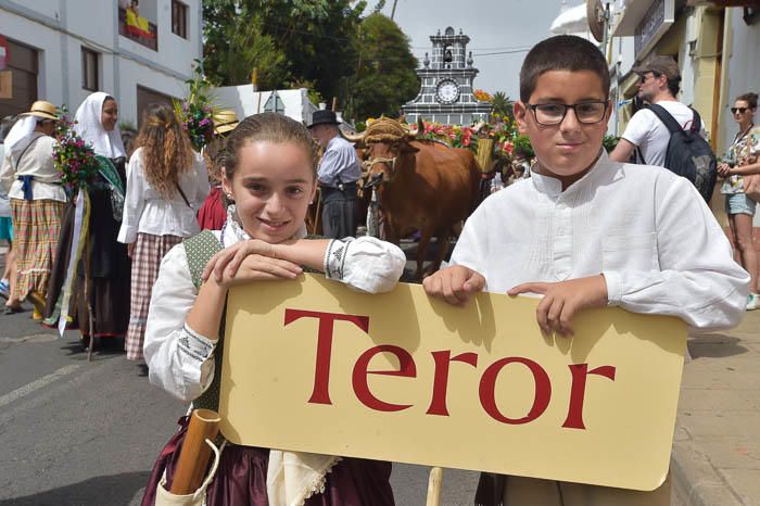 Carretas y grupos en la romería del Pino