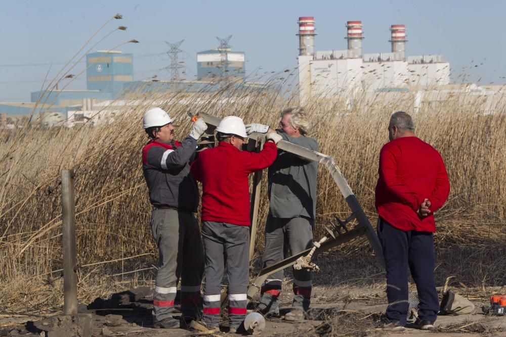 La Marjal dels Moros tras el incendio