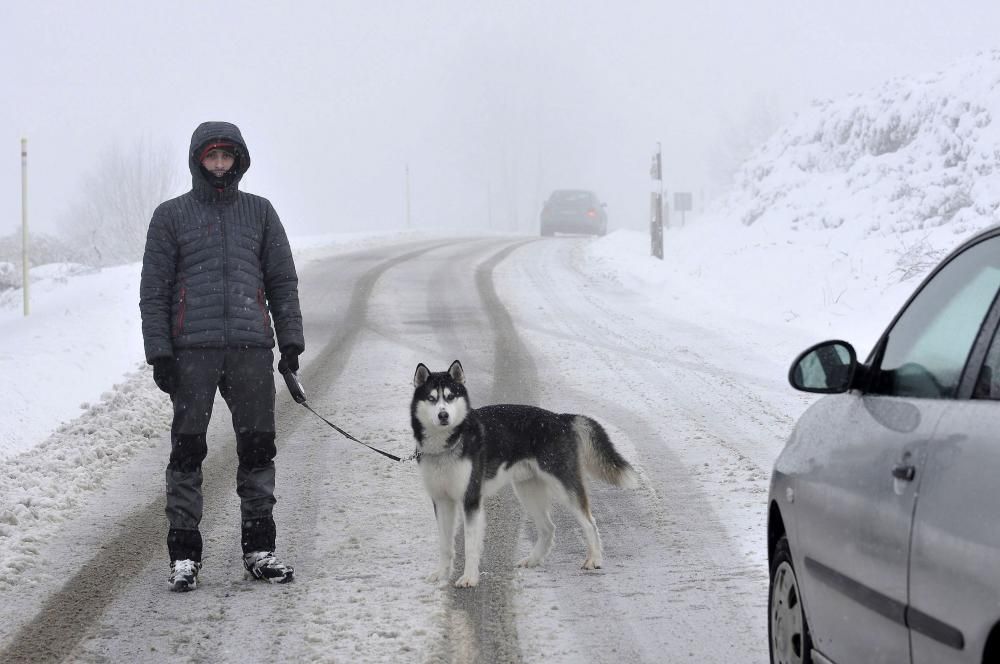 Asturias bajo el primer manto de nieve del año