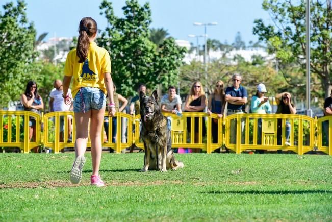 10/12/2016 MASPALOMAS. Feria de Mascotas Maspalomas 2016.Foto: SABRINA CEBALLOS