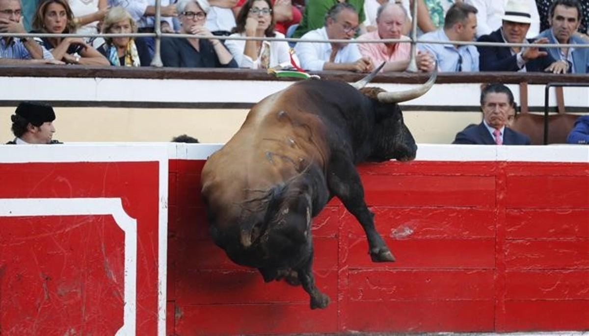 zentauroepp44728772 graf8619 bilbao 21 08 2018 el toro billetera intenta s180823174421 zentauroepp44728772 graf8619 bilbao 21 08 2018 el toro billetera intenta s180823174421
