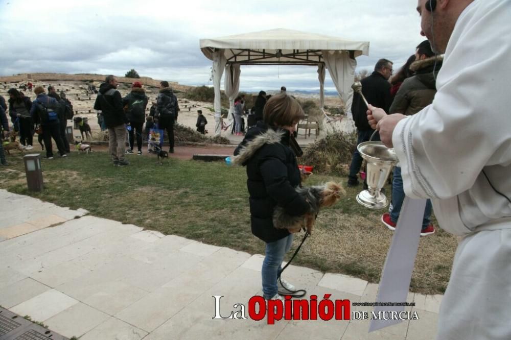 Jornada especial por San Antón en la Fortaleza del Sol de Lorca