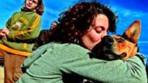  Afecte.Una noia fa un petó a un dels gossos que busquen amo, ahir.