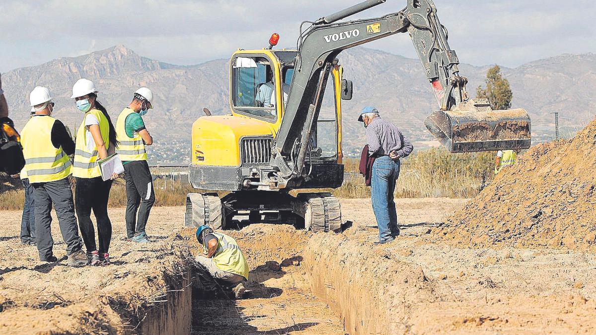 Trabajos en Albatera.