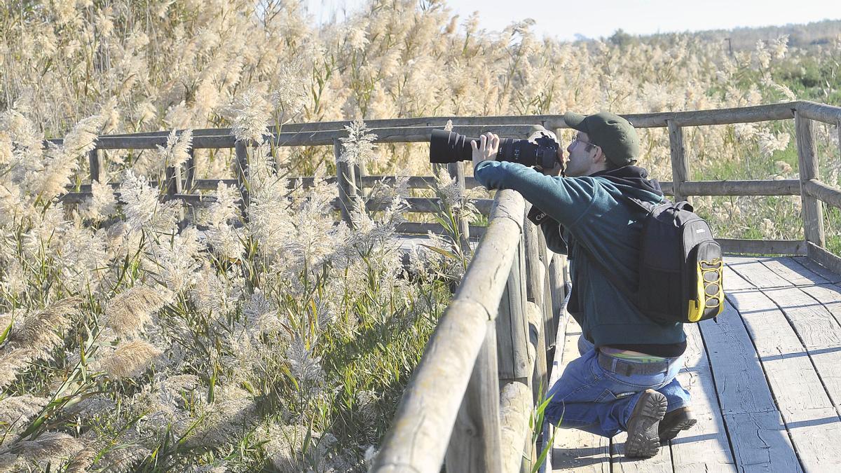 Un fotógrafo, &quot;cazando&quot; imágenes en el parque natural de El Hondo