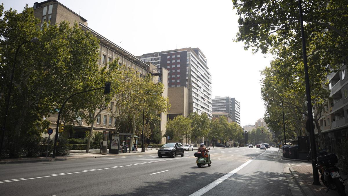 El suceso tuvo lugar el pasado miércoles en el Paseo María Agustín de Zaragoza.