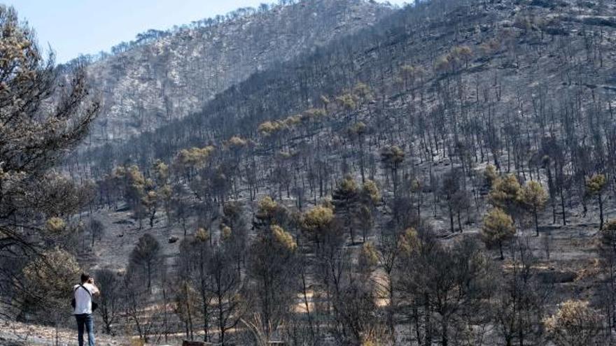 Vista del estado de la sierra tras ser arrasada la vegetación por el fuego.