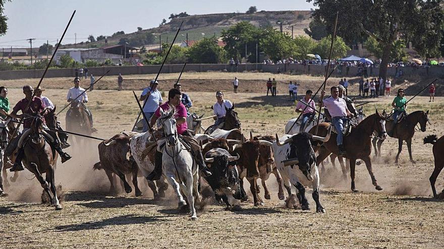 Espantes de Fuentesaúco en las fiestas de La Visitación de 2019.