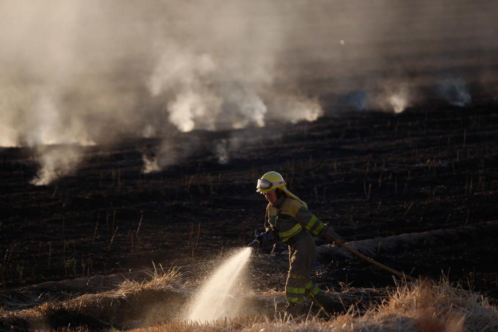 Incendio Carrascal