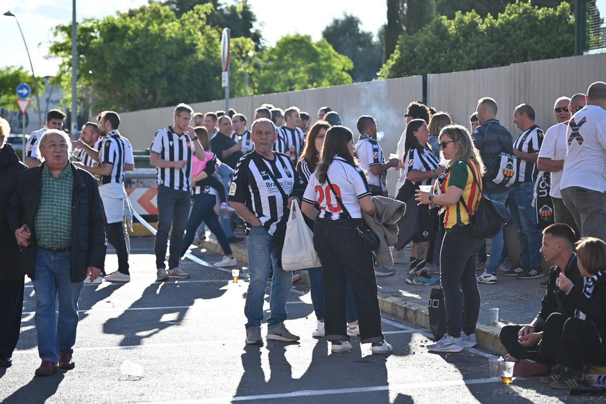 Galería | Búscate en la previa del Castellón-Cádiz del SkyFi Castalia