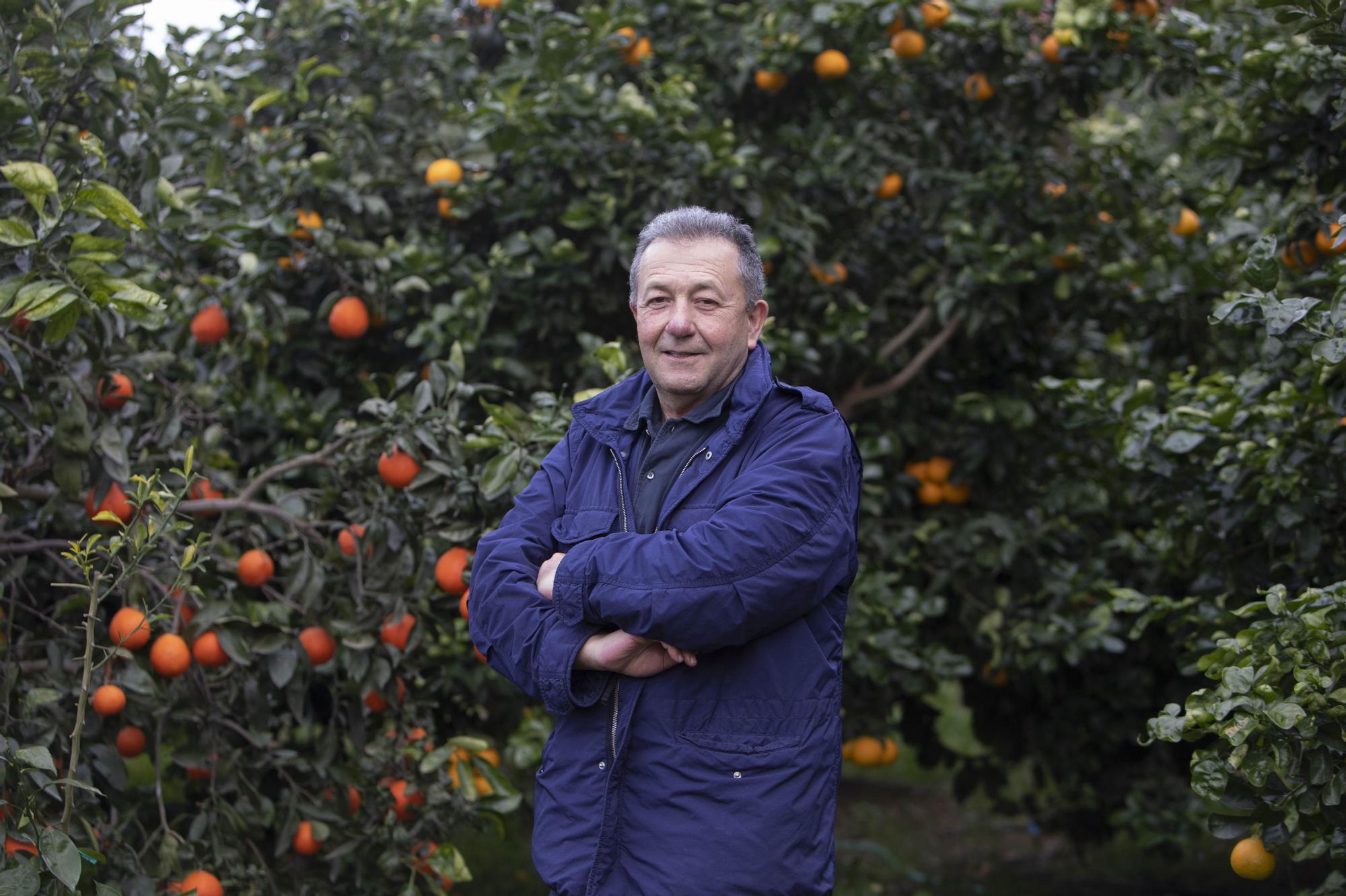Vicente Todolí en el jardín de las delicias