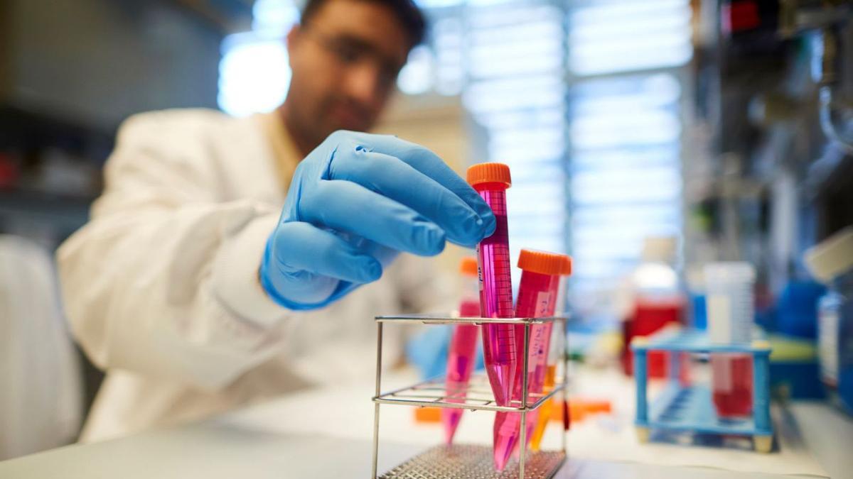 Un investigador, en el laboratorio. |   // ALEJANDRO GARCÍA