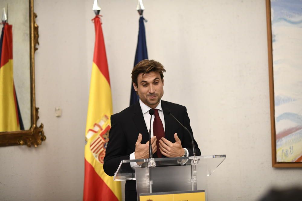 David Ferrer, Medalla de Oro al Mérito Deportivo