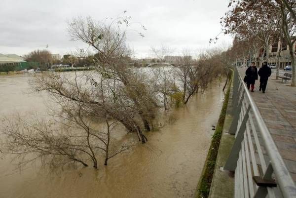 Fotogalería: Crecida en el río Ebro