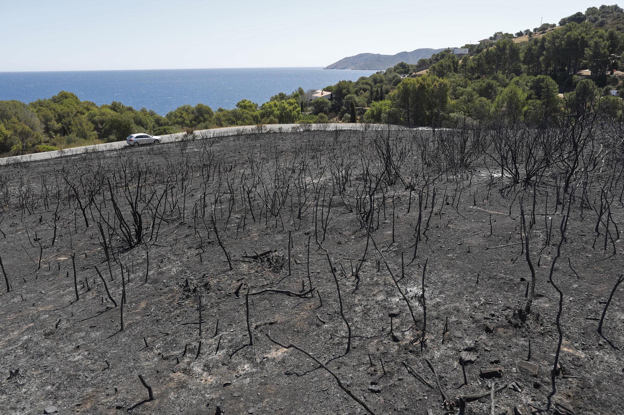 Treballs d'extinció i els danys de l'incendi de Llançà